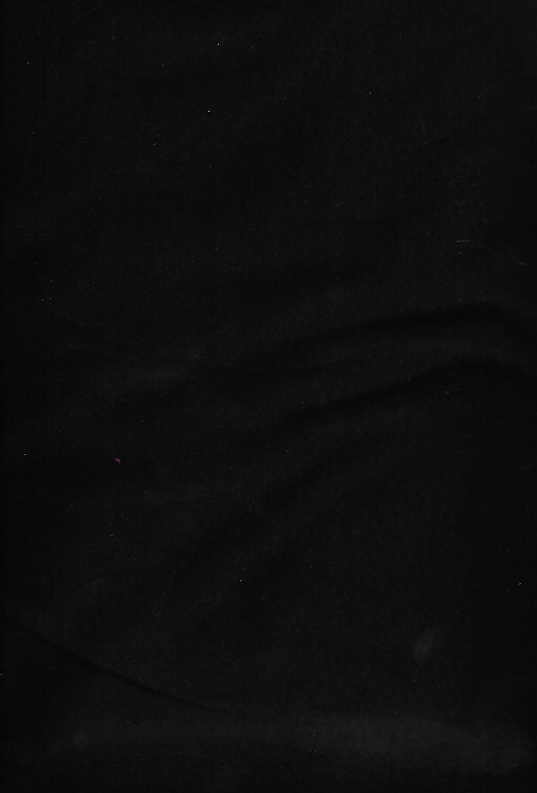 Jersey, Bio, uni schwarz, GOTS, 95 % Baumwolle, 5 % Elasthan